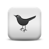 twitter2 Contact Info