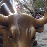 BULL 150x150 Photos