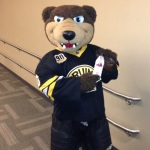 Bruins Mascot 150x150 Photos