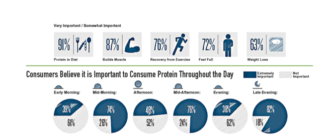 Protein Requirement